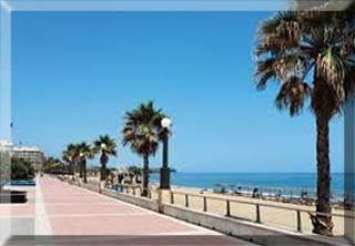 Estepona Properties